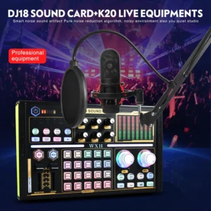 DJ18 Sound Card Studio Record Professional Mixer Singing Noise Reduction Microphone Voice BM800 Live Broadcast Mick Tok Music