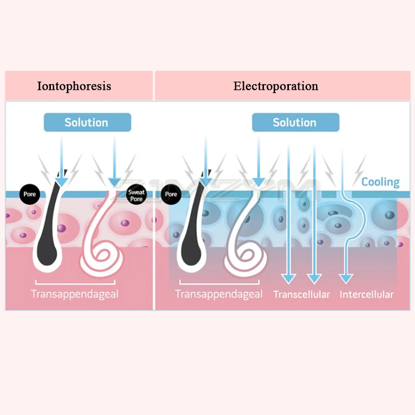 kf-Sb5b7ffc57e7646bf8352d7ed7b12bb9cP