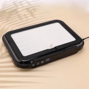 Powerful Manicure Machine Suction 170w 2 Fans Nail Dust Collector Vacuum Cleaner Nail Art Suction with Removable Filter Screen