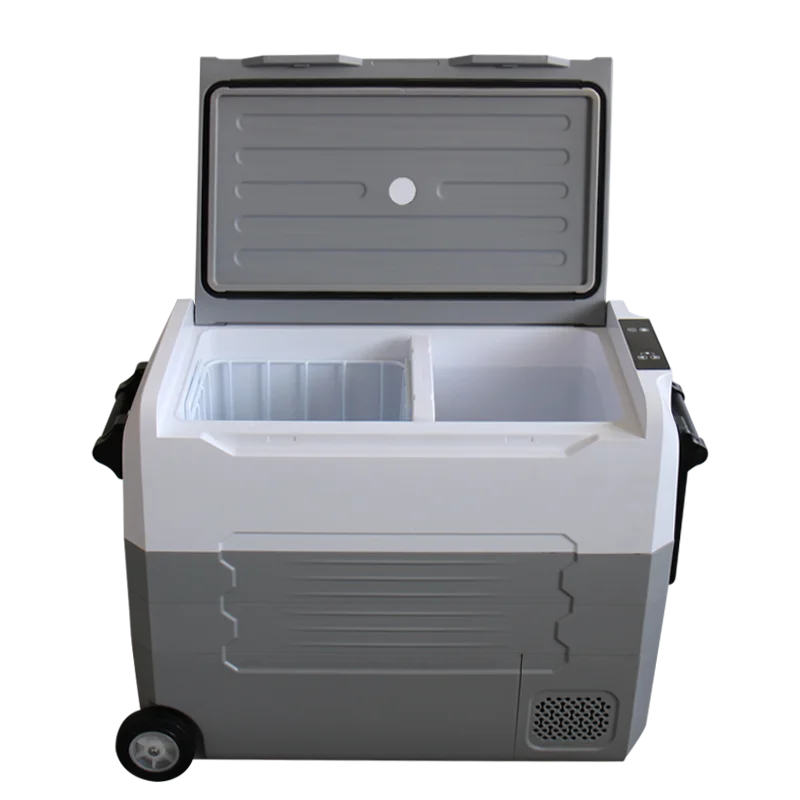 35L/45L/55L Car Refrigerator Mini Fridge Small Freezer 12V Compressor Portable Cooler 220V 12v Car Mini Portable Refrigerator