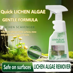 Powerful LICHEN ALGAE REMOVER Cement Floor Moss Cleaner Wall Moss Cleaner for Patio Stone, Deck, Driveway & Sidewalk Cleaning