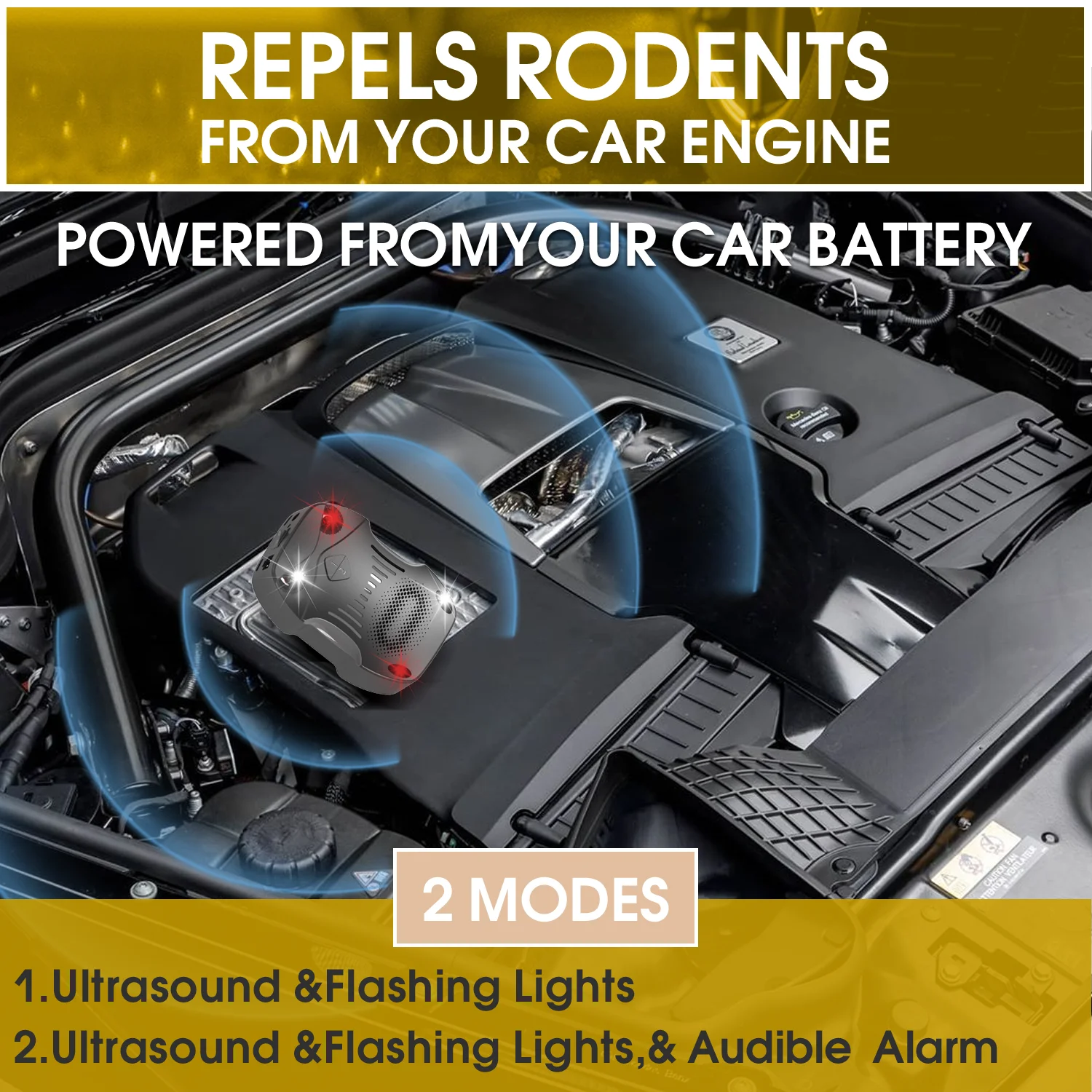 kf-Sf1e76372627c4ea58c5760bbdb81d523r